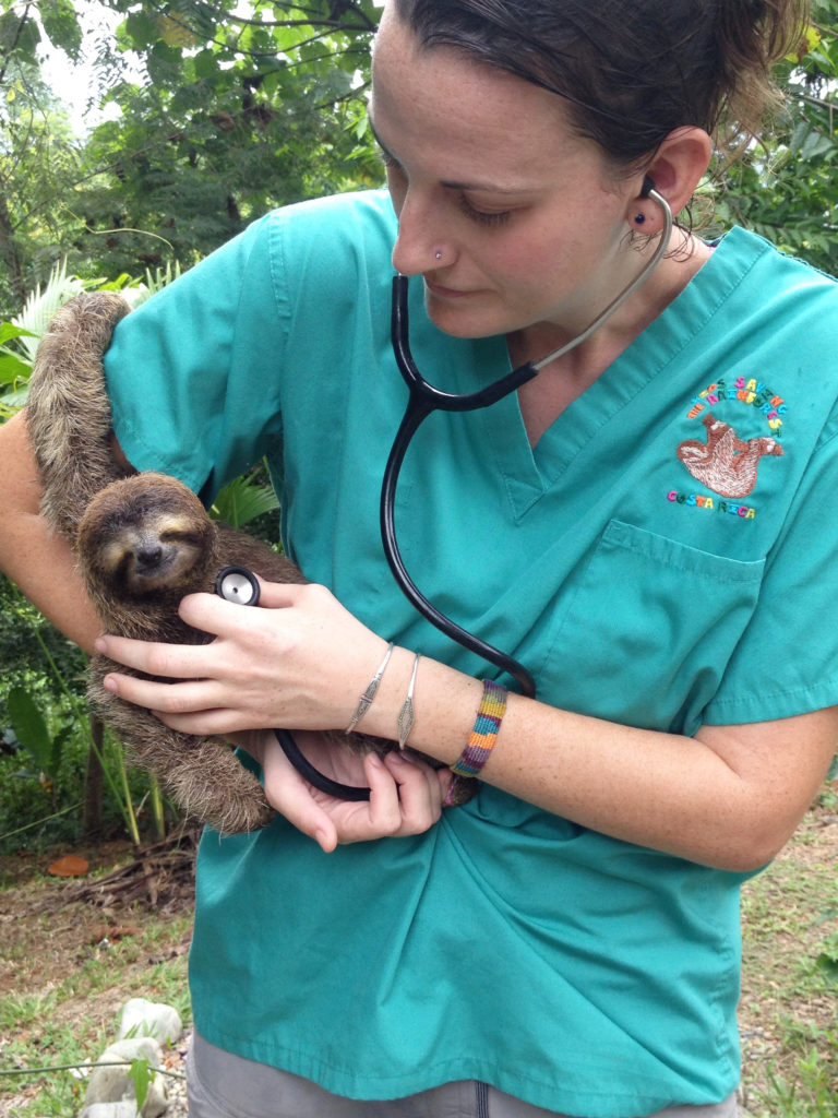 sloth rescue