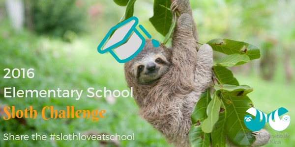 2016 Elementary School Sloth Challenge