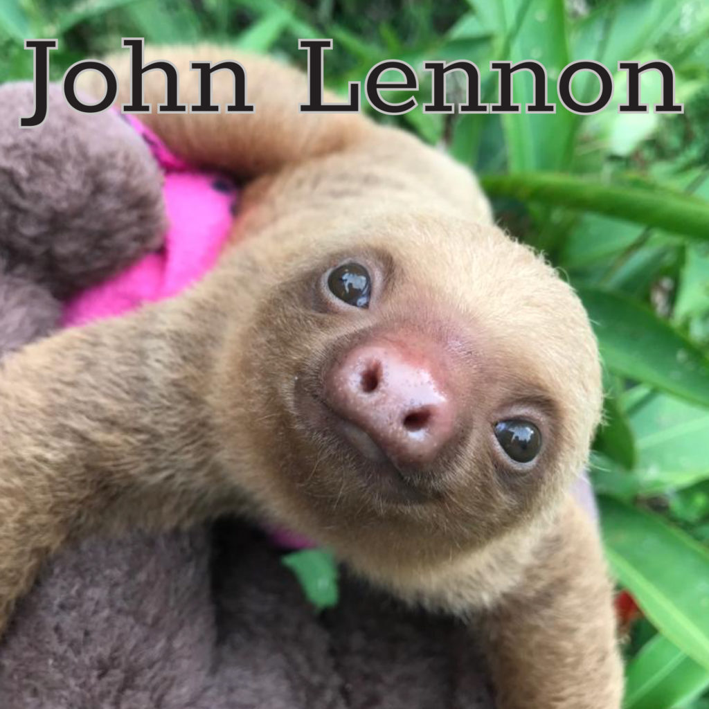 sloth memes do you like