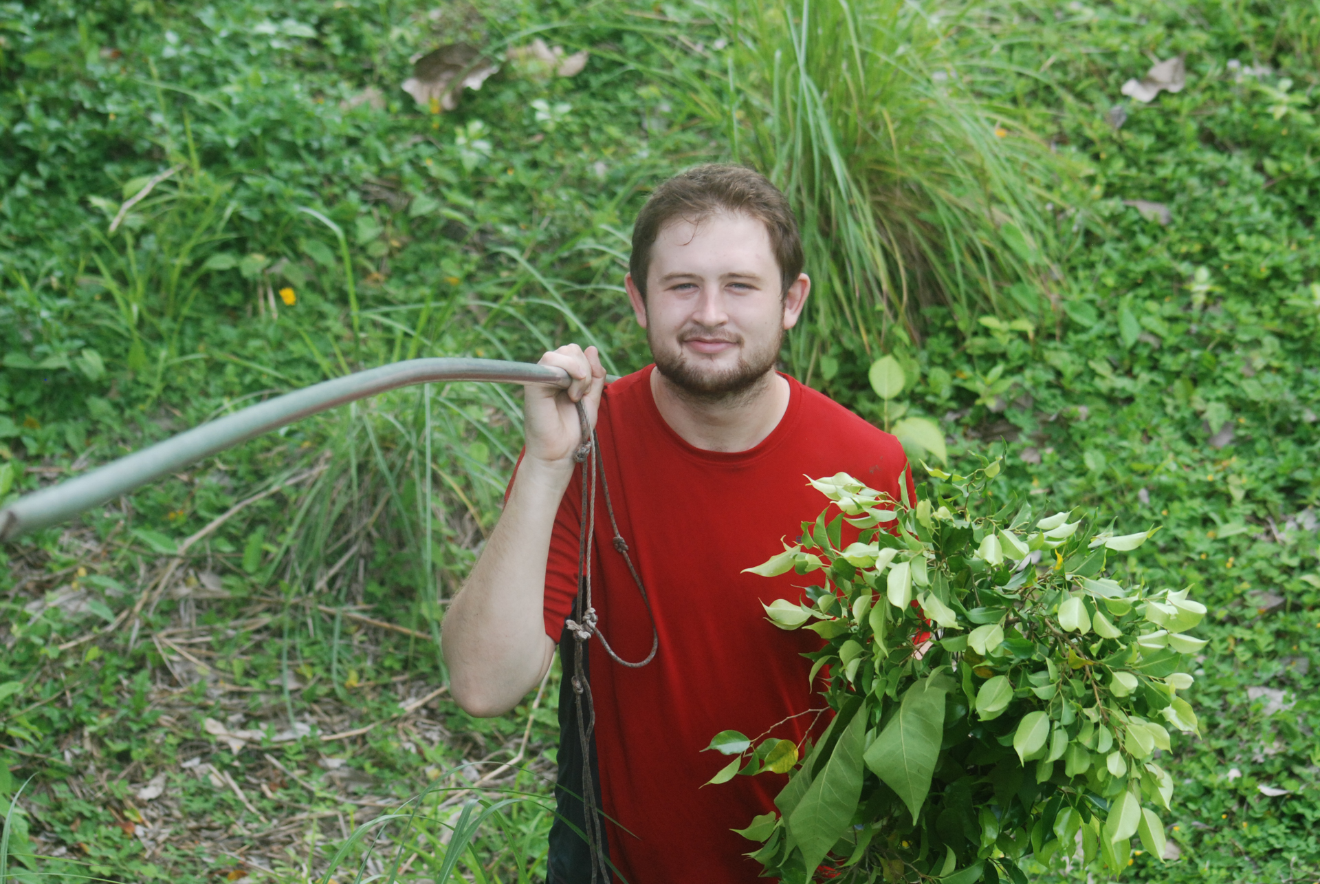 Collecting leaves for sloths