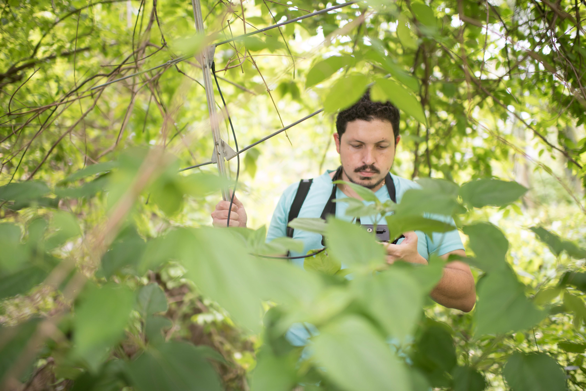 Sloth Internships - The Sloth Institute