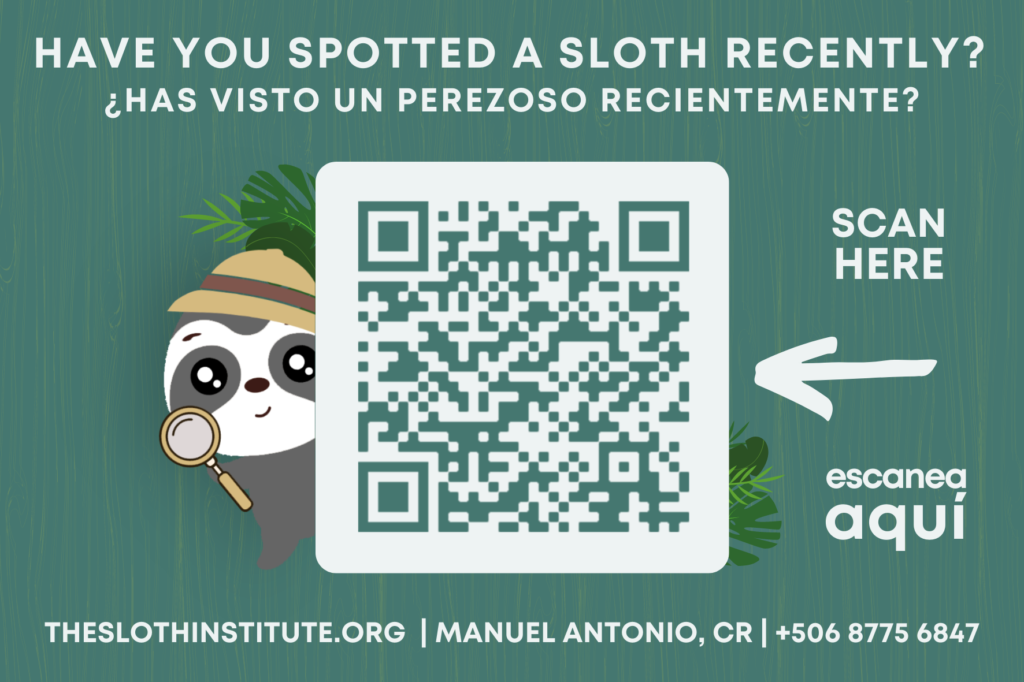 the sloth institute sloth science