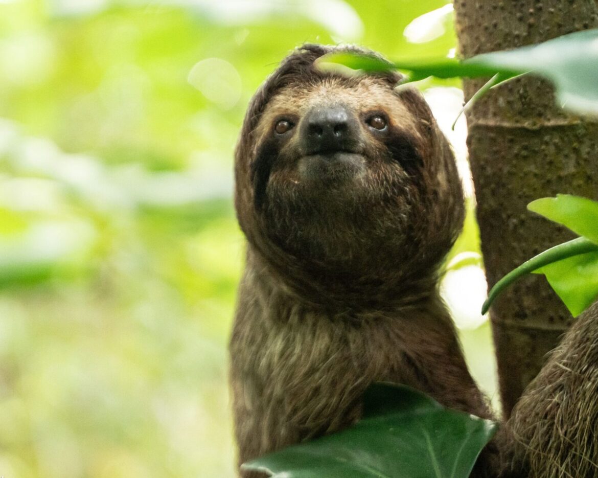 Landscape Photos x TSI