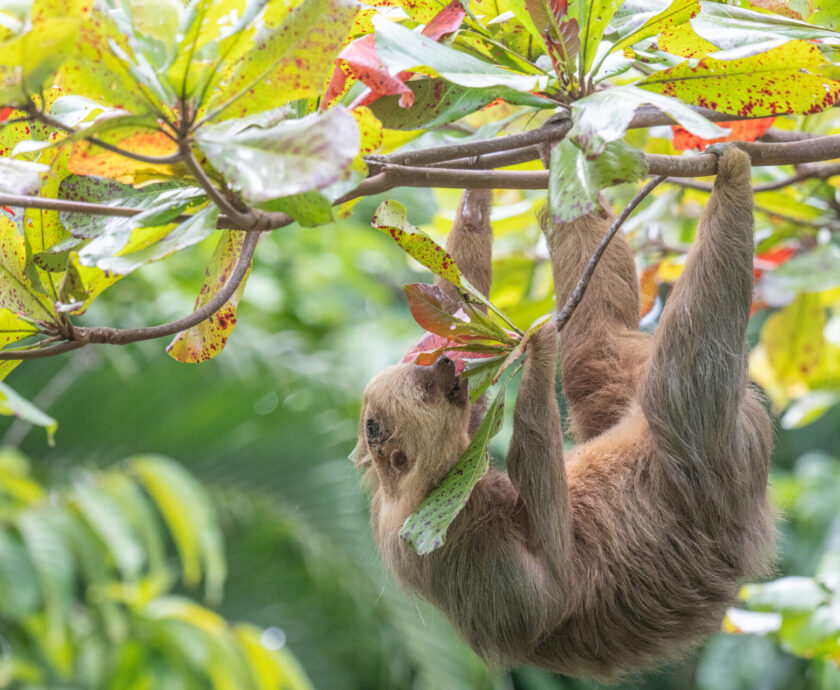 frank climbing exercise2