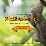 Everything You Need to Know About SlothtoberFest 2025