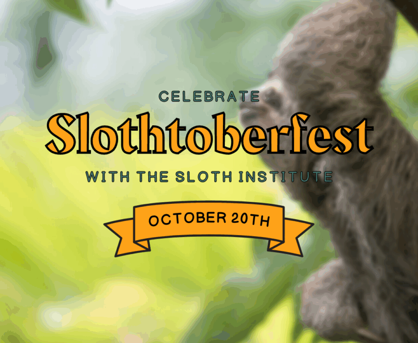 245699490_3177135582519875_7801394917764892051_n