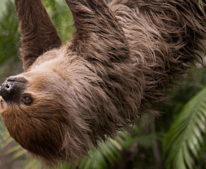 Landscape Photos x TSI (2)