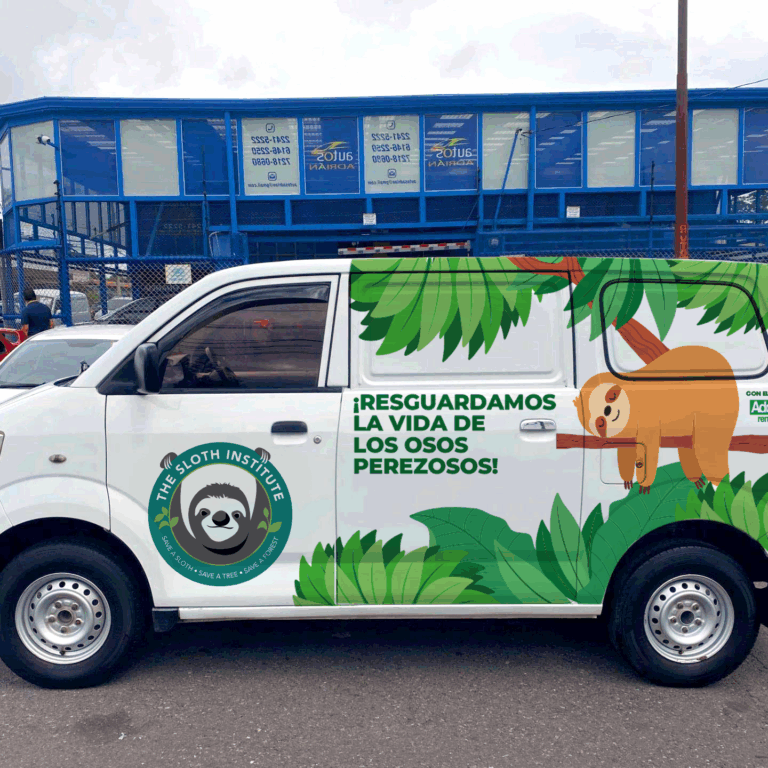 TSI Slothmobile Adobe Rent A Car (2)