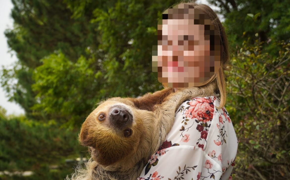 sloth trade3