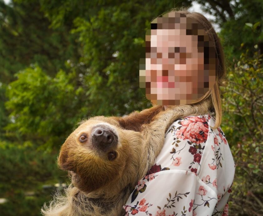 sloth trade3