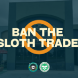 Orange County Votes to Explore Banning Wild Sloth Imports – And It’s Just the Beginning