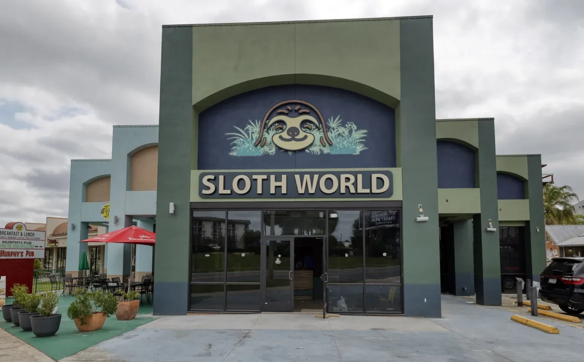 tos-l-sloth-world1535