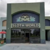 Press Release | Sloth Protection Alliance Questions Finding of No Criminal Neglect After 57 Sloth Deaths