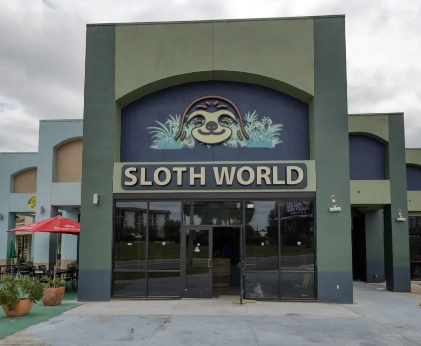 tos-l-sloth-world1535