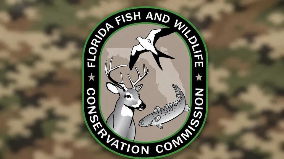 FWC Logo