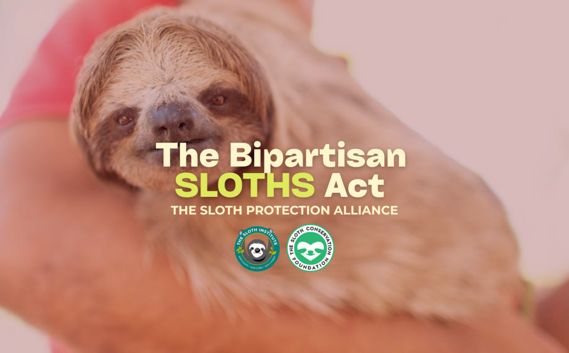SLOTH PROTECTION ALLIANCE (2)