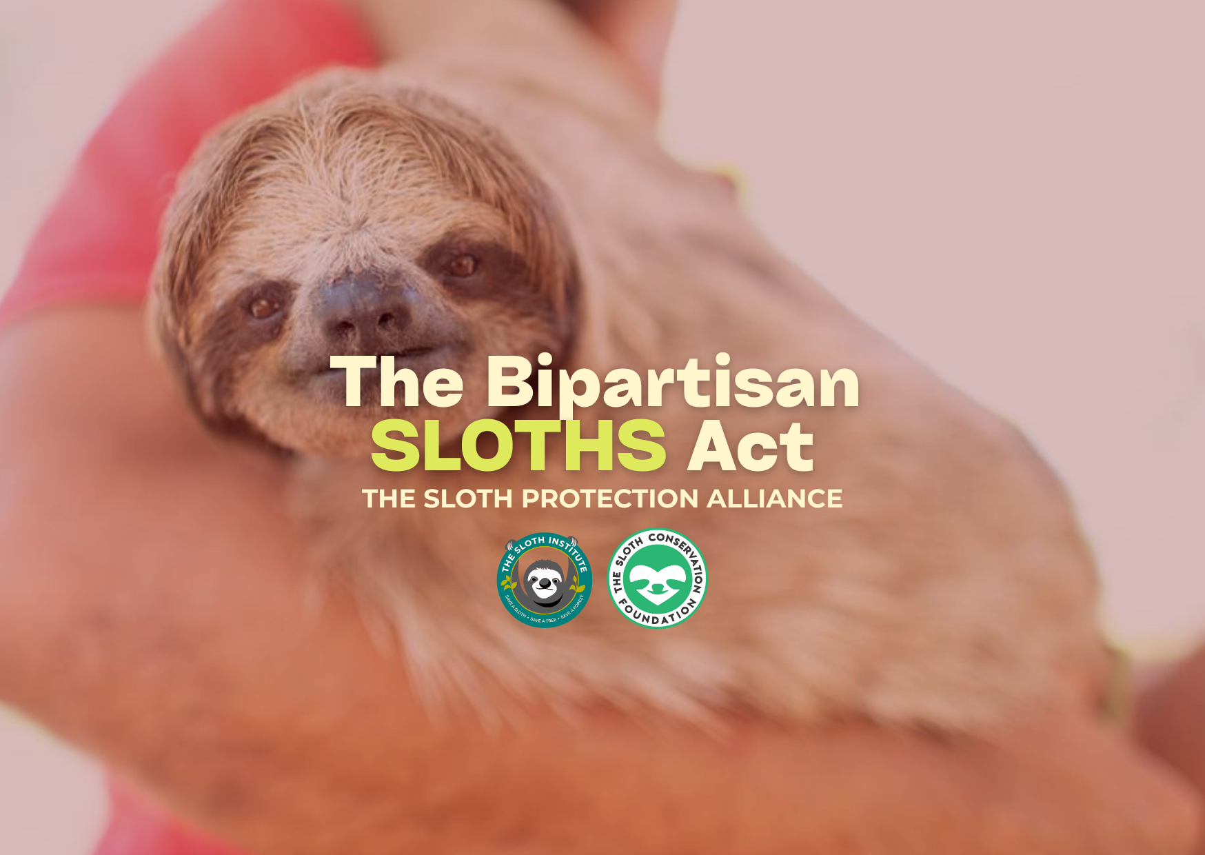 SLOTH PROTECTION ALLIANCE (2)