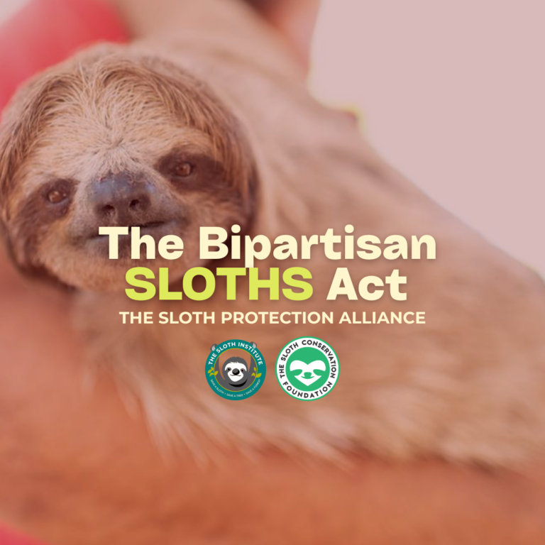 SLOTH PROTECTION ALLIANCE (2)